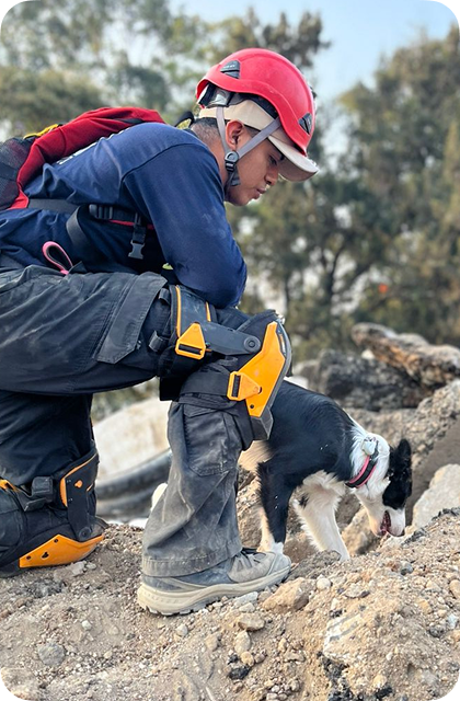 Profesional en equipo de seguridad trabajando