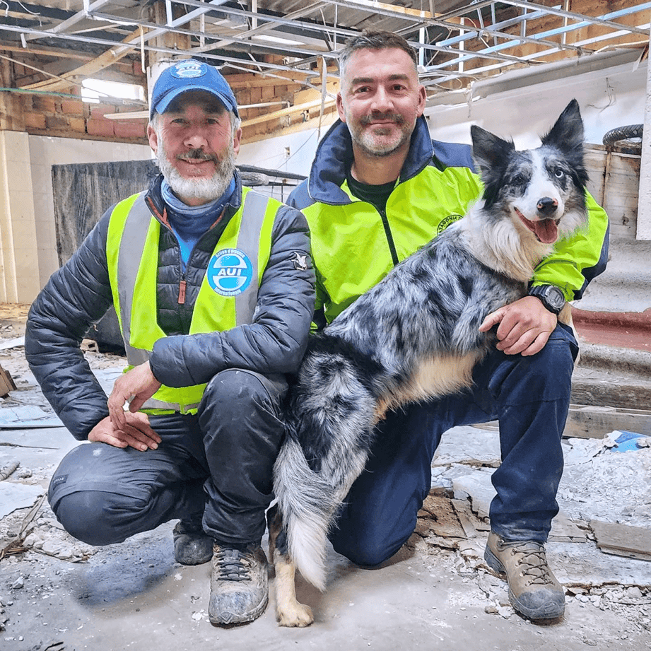 Search and Rescue Dogs